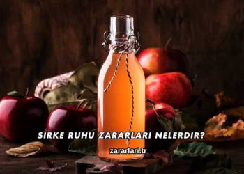 Sirke Ruhu Zararları Nelerdir?