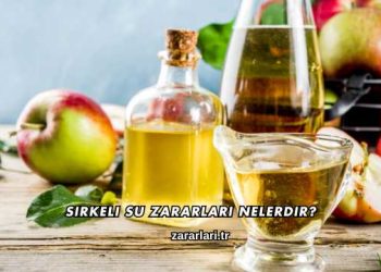 Sirkeli Su Zararları Nelerdir?