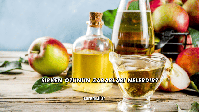 Sirken Otunun Zararları Nelerdir?