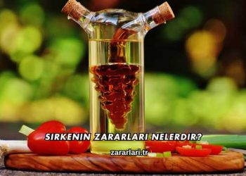 Sirkenin Zararları Nelerdir?