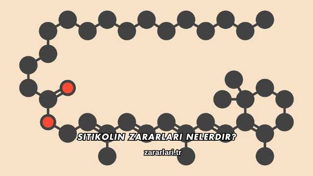 Sitikolin Zararları Nelerdir?