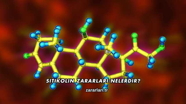 Sitikolin Zararları Nelerdir?