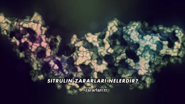Sitrulin Zararları Nelerdir?