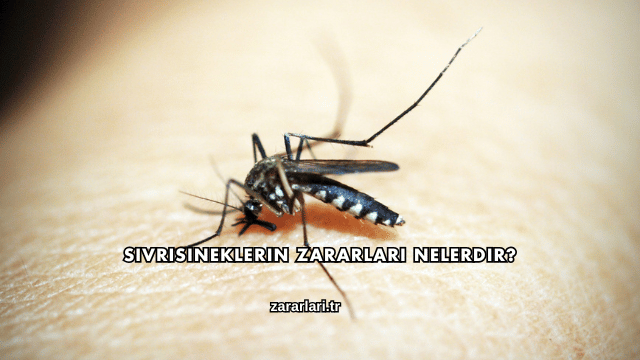 Sivrisineklerin Zararları Nelerdir?