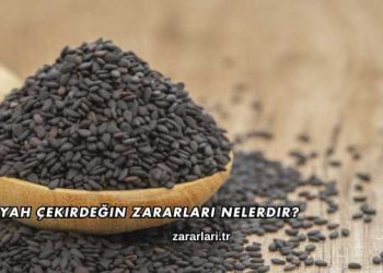Siyah Çekirdeğin Zararları Nelerdir?