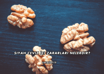 Siyah Ceviz İçi Zararları Nelerdir?