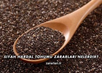 Siyah Hardal Tohumu Zararları Nelerdir?