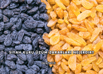 Siyah Kuru Üzüm Zararları Nelerdir?