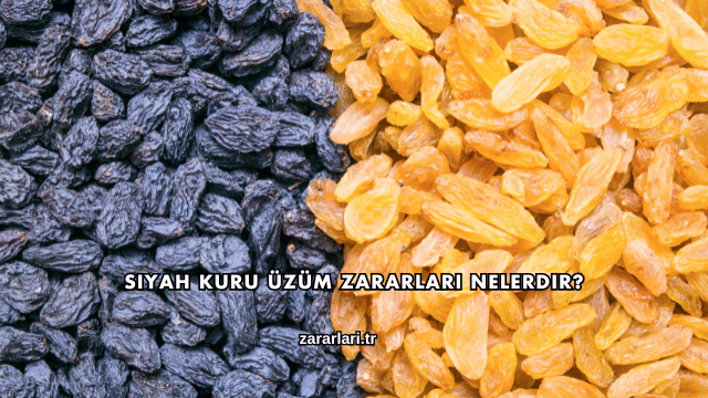 Siyah Kuru Üzüm Zararları Nelerdir?