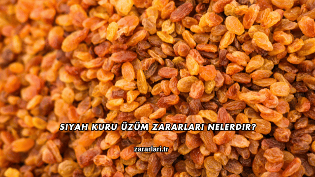 Siyah Kuru Üzüm Zararları Nelerdir?