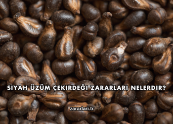 Siyah Üzüm Çekirdeği Zararları Nelerdir?