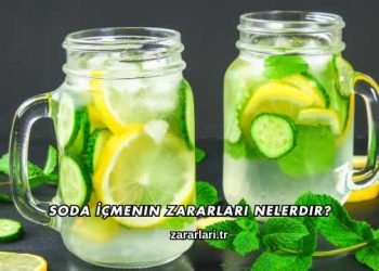 Soda İçmenin Zararları Nelerdir?