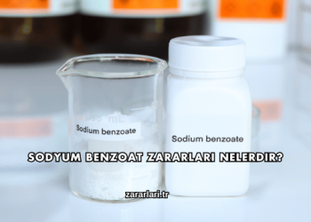 Sodyum Benzoat Zararları Nelerdir?