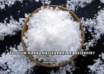 Sodyum Karbonat Zararları Nelerdir?