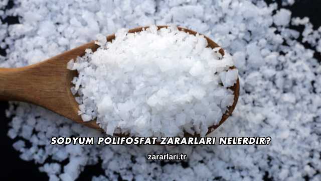 Sodyum Polifosfat Zararları Nelerdir?