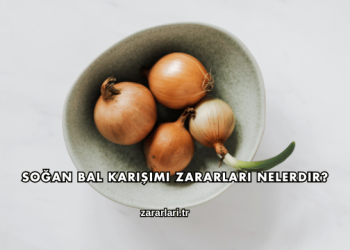 Soğan Bal Karışımı Zararları Nelerdir?
