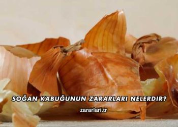 Soğan Kabuğunun Zararları Nelerdir?
