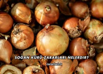 Soğan Kürü Zararları Nelerdir?