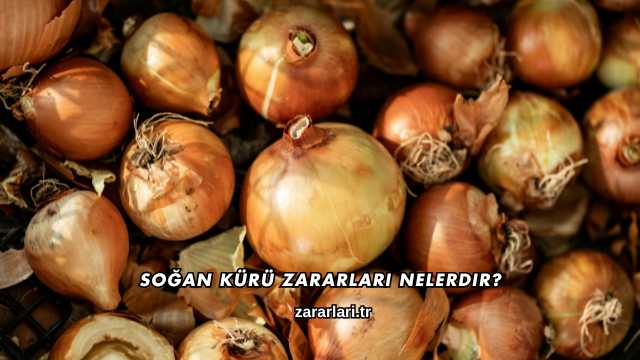 Soğan Kürü Zararları Nelerdir?