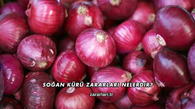 Soğan Kürü Zararları Nelerdir?