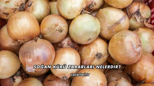 Soğan Kürü Zararları Nelerdir?