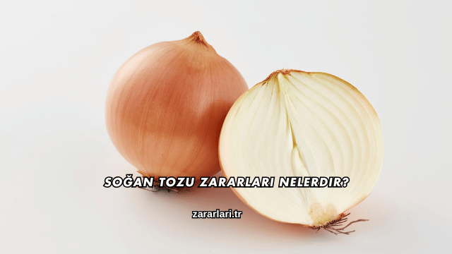 Soğan Tozu Zararları Nelerdir?