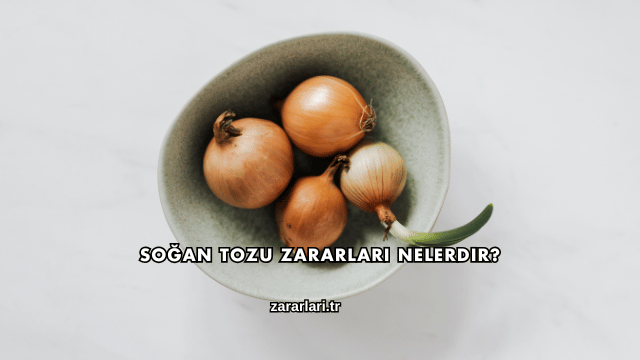 Soğan Tozu Zararları Nelerdir?