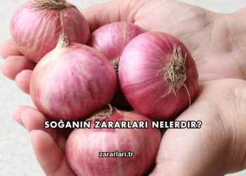 Soğanın Zararları Nelerdir?