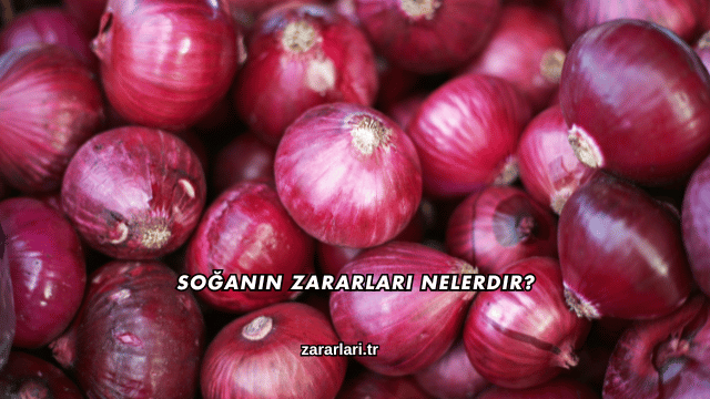 Soğanın Zararları Nelerdir?