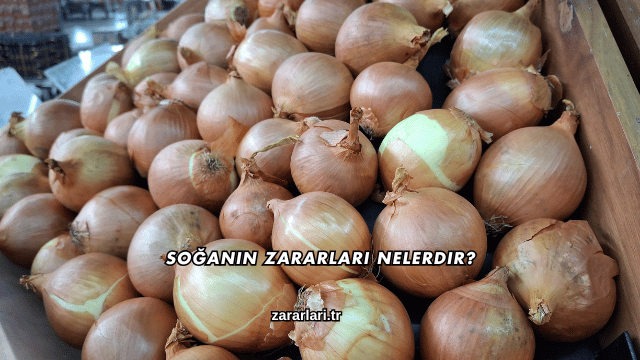 Soğanın Zararları Nelerdir?