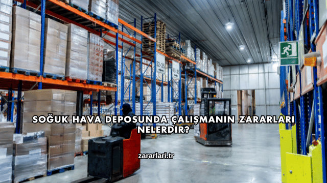 Soğuk Hava Deposunda Çalışmanın Zararları Nelerdir?