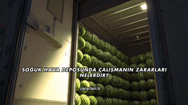 Soğuk Hava Deposunda Çalışmanın Zararları Nelerdir?