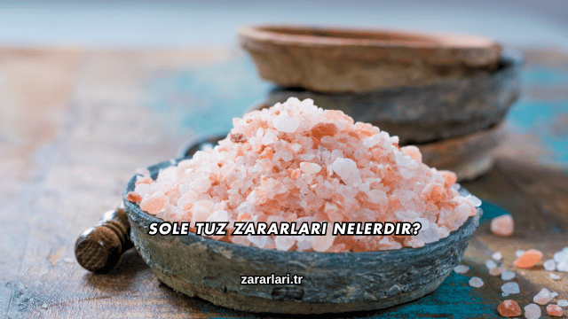 Sole Tuz Zararları Nelerdir?