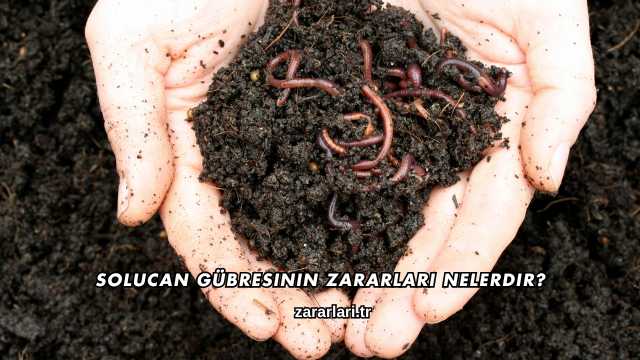 Solucan Gübresinin Zararları Nelerdir?