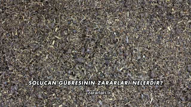 Solucan Gübresinin Zararları Nelerdir?
