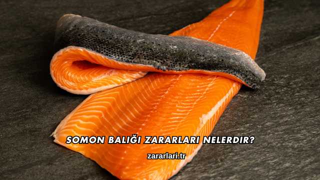 Somon Balığı Zararları Nelerdir?