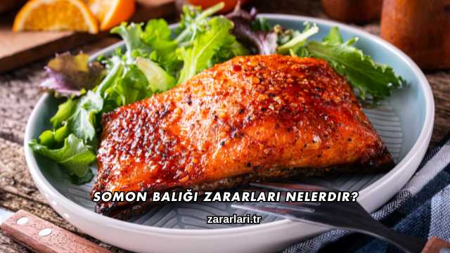 Somon Balığı Zararları Nelerdir?