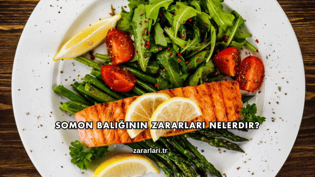 Somon Balığının Zararları Nelerdir?