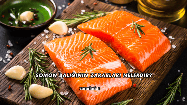 Somon Balığının Zararları Nelerdir?