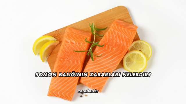 Somon Balığının Zararları Nelerdir?