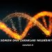 Somon DNA Zararları Nelerdir?