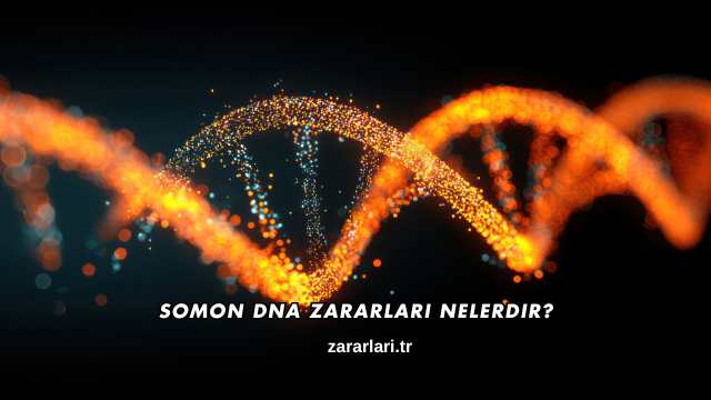 Somon DNA Zararları Nelerdir?