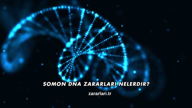 Somon DNA Zararları Nelerdir?