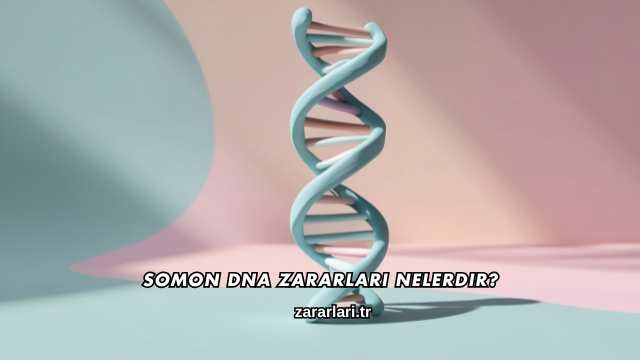 Somon DNA Zararları Nelerdir?