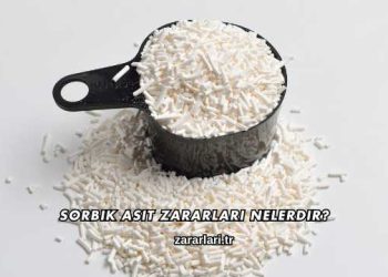 Sorbik Asit Zararları Nelerdir?