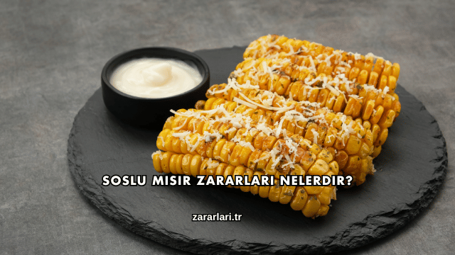 Soslu Mısır Zararları Nelerdir?