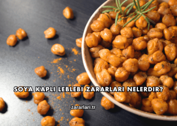 Soya Kaplı Leblebi Zararları Nelerdir?