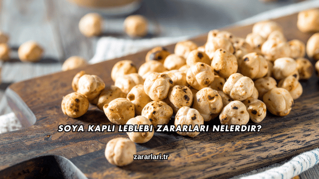 Soya Kaplı Leblebi Zararları Nelerdir?