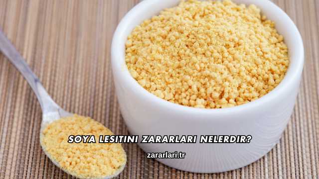 Soya Lesitini Zararları Nelerdir?