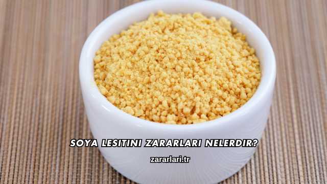 Soya Lesitini Zararları Nelerdir?